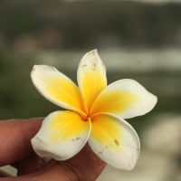 INDONESIA