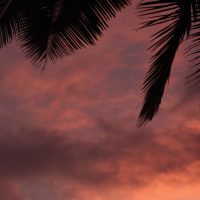 IMG_4916