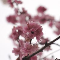 IMG_6880